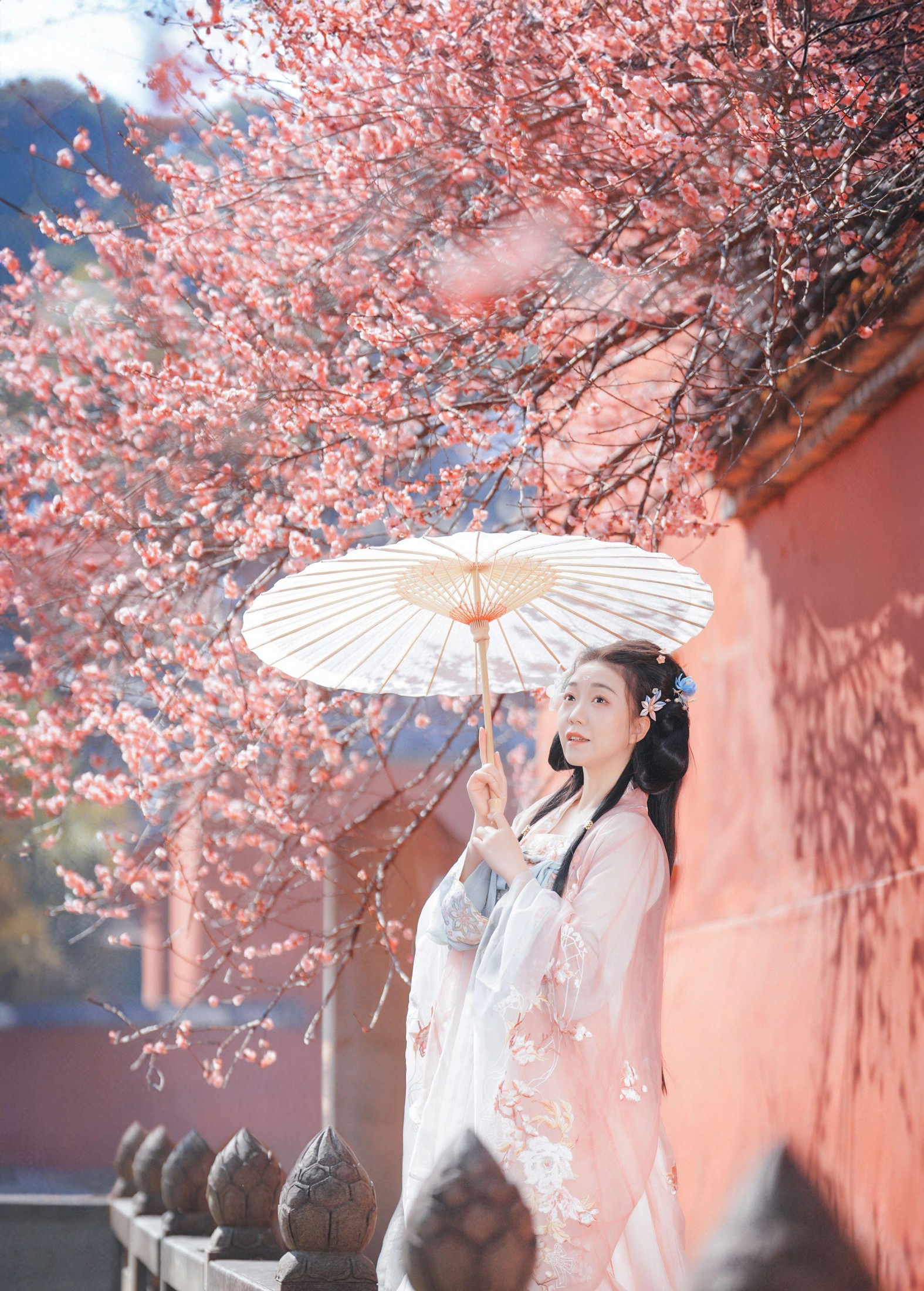 卿莫07 – 《梅花古风人像拍摄》[22P] 插图2